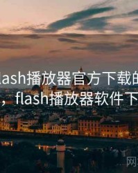 天呐！flash播放器官方下载的离谱细节，flash播放器软件下载