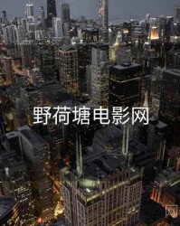 野荷塘电影网