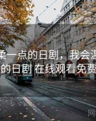 我会温柔一点的日剧，我会温柔一点的日剧 在线观看免费