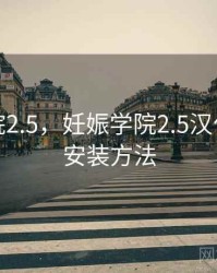 妊娠学院2.5，妊娠学院2.5汉化版下载安装方法