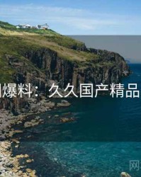 娱乐圈爆料：久久国产精品的故事