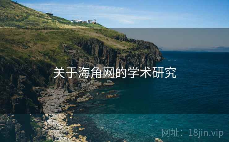 关于海角网的学术研究